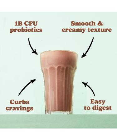 Good Protein Vegan Plant-based Protein Powder 100% Natural Non-GMO Dairy-free Gluten-free Soy-free No Added Sugar and Nothing Artificial. Mint Chocolate Chip All-in-One Shake 880 grams Mint Chocolate Chip 880 g - Buy Online on GoSupps.com