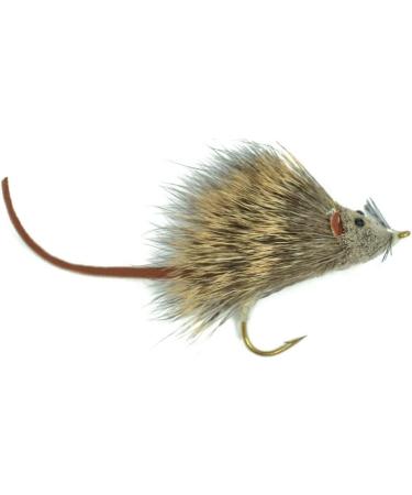 Fly Fishing Place Bass Bug Collection - Set of 12 Bass Fly Fishing Flies - Surface Poppers, Divers, Subsurface - Hook Sizes 2, 4, 6 - Buy Online on GoSupps.com