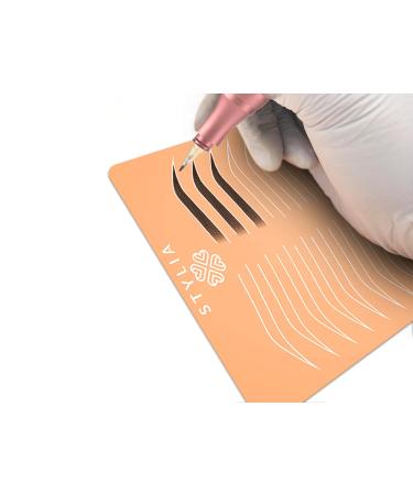 6 Piece Silicone Double Sided Ombre Practice Skin for Microblading & Permanent Makeup - Brow Tattoo Practice Fake Skin Sheets - 6 Count - Buy Online on GoSupps.com
