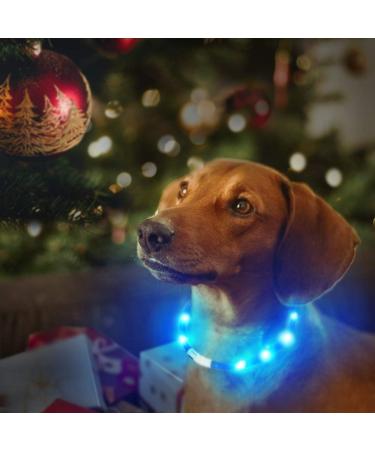 Laroo LED Dog Collar - USB Rechargeable Night Safety Luminous Collar for All Dog Sizes - 3 Modes - Blue - Buy Online on GoSupps.com