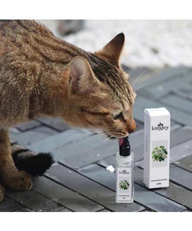 Herbal Cat Joy Spray - Natural Catnip & Behavior Solution for Cats & Kittens | Celery Pets - Buy Online on GoSupps.com