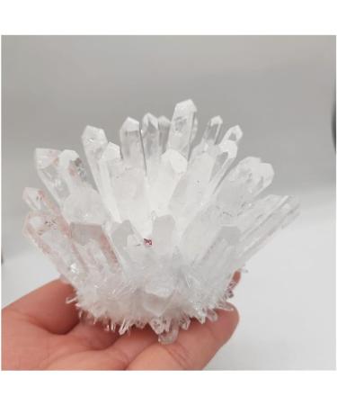 Home Decor 1pcs Natural Raw Quartz White Clear Crystal Cluster Stones Crystal Point Specimen Home Decoration Raw Crystals Mi Soothing Crystal Household Crystal Cluster (Size : 600-700g) - Buy Online on GoSupps.com
