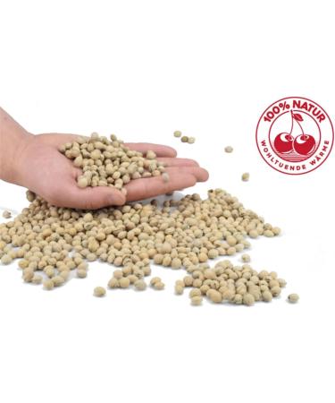 Buy ATC Handels GmbH Kirschkernkissen 25x30cm Blue - Natural Cherry Seed Grain Pillow for Heat & Cold Therapy | EU Made Relaxation Pillow - Buy Online on GoSupps.com