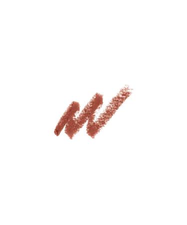 Golden Rose Nude Look Creamy Shine Lipstick (01 Nude) - Buy Online | International Shipping Available - Buy Online on GoSupps.com