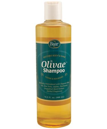 Baar Olivae Shampoo 16.5 Fl Oz - Organic Olive Oil Formula Nourishes Hair While Cleaning. Aloe Vera Jojoba Oil and Proteins Repair Damaged Hair and Adds Body to All Hair Types