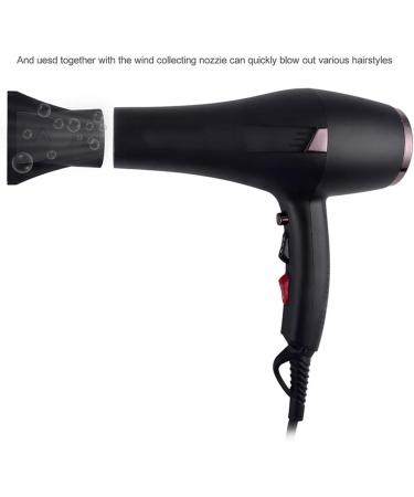 Professional Hair Dryer Quiet Hairdryers with 2 Nozzles Lightweight Power Blow Dryer Fast Dry 2 Speed 3 Heat Cool Shot Setting Long Cable AC Motor Fast Drying Time and Frizz Free Shine 2000W Small - Buy Online on GoSupps.com
