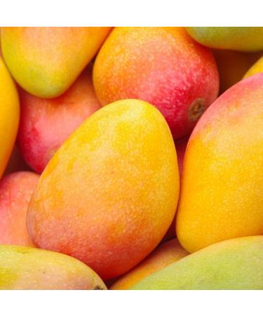 Aquasilice Haarmaske 250 ml - Intensive Nourishing Hair Mask | International Shipping Available - Buy Online on GoSupps.com