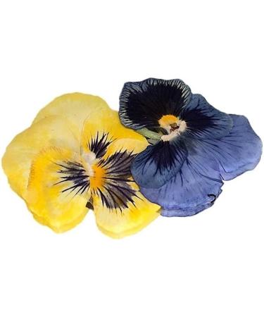 Pressed Violas Edible Flowers - Buy Online on GoSupps.com