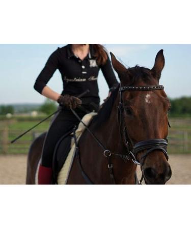 Prairie Horse Supply 24 Inch Black Single Slapper Crop - High-Quality Riding Crop - Buy Online on GoSupps.com