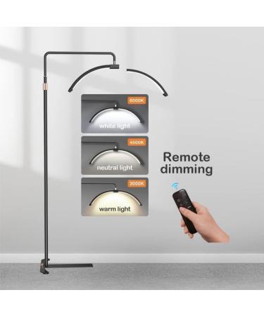 Toyshi Eyelash LED Floor Lamp - Beauty Skincare Lighting for Lash Extensions, Eyebrows, and Filming Content Creation - Black - Buy Online on GoSupps.com