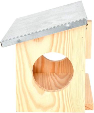 Fallen Fruits WA56 OBSERVATION Squirrel Feeder Brown - Buy Online on GoSupps.com