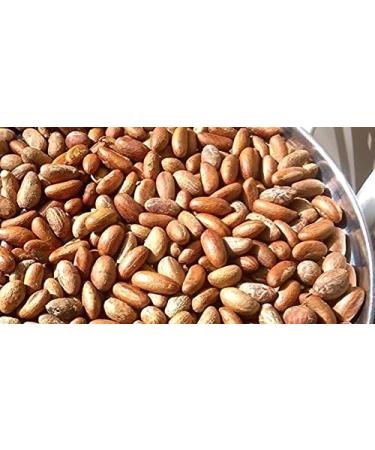 Bitter Kola (Garcinia Kola) 400g - Buy Online on GoSupps.com