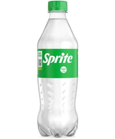 PET 12PCS X 450ML - Buy Online on GoSupps.com