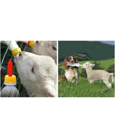 Pritchard Nipple Set for Small Animals - Soft Rubber Milk Feeding Pacifier - Fits Sprite, Coke, Soda Bottles - 8 Pcs - Buy Online on GoSupps.com
