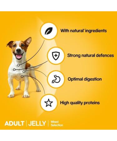 PEDIGREE Adult Chicken & Lamb in Jelly - Wet food for adult dogs - 4 x 100 g - Buy Online on GoSupps.com