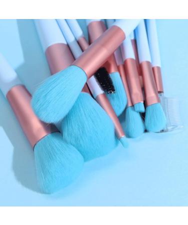 12-Piece Makeup Brush Set | Eye Shadow Blusher & Setting Tools | International Shipping Available - Buy Online on GoSupps.com