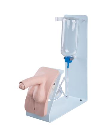 3B Scientific 1020232 Catheterization Simulator Basic Male