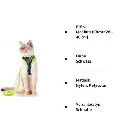 Supet Cat Dishes & Line Set - Perfect Feeding Solution for Kittens | International Shipping Available - Buy Online on GoSupps.com