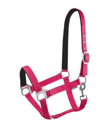 Start Economic Lined Halter for horses thoroughbred bangs - stable halter with two -stage adjustment - chin and neck piece - pasture horse halter halter warmblood neoprene -fed (raspberry cob) COB (thoroughbred) raspberry