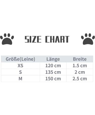 Lionet Paws Dog Leash - Silk Leash for Small/Medium/Large Dogs | Matching Collars for Boys & Girls | Durable & Stylish | Blue - Pack of 1 - Buy Online on GoSupps.com