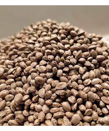  CRAFTSMAN FINEST FOODS Craftsman Beef Jerky Hemp 500 g | Made in Germany - Bavaria | Jerky Beef Set 10 x 50 g | 100% Natural | 100% Beef | High Protein 68% | Dry Meat Biltong Hemp | Sugar Free - Buy Online on GoSupps.com