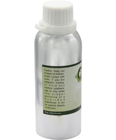 R V Essential Pure Amla Oil 300ml (10oz)- Emblica Officinalis (100% Pure and Natural Rare Herb Series) Amla 300ml (10oz) - Buy Online on GoSupps.com