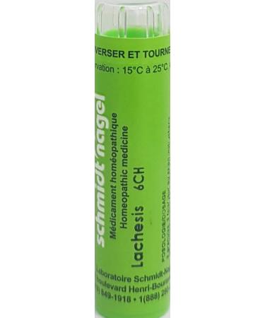 Lachesis 6CH Homeopathy Medicine Schmidt-Nagel Canada (Homeodel) 90 pellets/granules