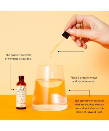 Bach Original Flower Remedies Vegan Formula Bundle - Emotional Wellness Support - White Chestnut, Larch, Mimulus - 3 x 10ml - Buy Online on GoSupps.com