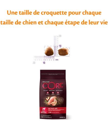 Wellness Core Active Life All Sizes Active Dog Food Natural & Grain Free Chicken & Turkey 10 kg - Buy Online on GoSupps.com