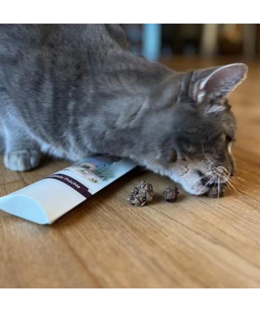 Leo Lwenkatz Matatabi Set - Dried Matatabi Fruits (30g) & 5 Catnip Sticks for Cats - Best for Cat Wellness & Play - Buy Online on GoSupps.com