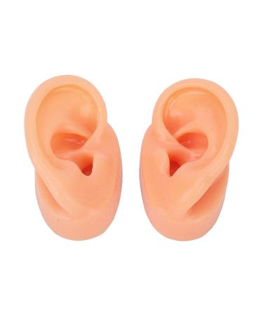 Silicone Human Ear Model for Hearing Aids IEM Earphones Display - Lecturing Aid - Buy Online on GoSupps.com