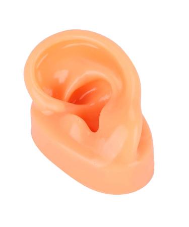 Simulation indicator Silicone Left Ear Model Anatomi Model of the Human Ohr Professional Ear Simulation Model Simulation Artificial Human Acupuncture Exercise Model for Hospital H rg