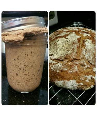 Kombuchaorganic Sourdough Bread Starter Culture Genuine Certified Organic White Bread Lake District Wild Yeast ALL TYPES OF FLOUR - Buy Online on GoSupps.com
