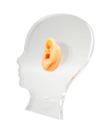 Ear Display Mold Lifelike Ear Model Silicone Soft with Acrylic Stand for Hospital