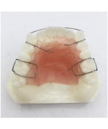 Fhuili teeth model for training - dental orthodontics treatment teeth retainer study model - simulation oral tooth kfo retainer demo model - for dental teeth study teaching a