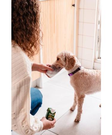200ml TopLife Puppuccino Style Milk For Dogs (over 12 months old) froth up or simply pour Goats Milk - Buy Online on GoSupps.com