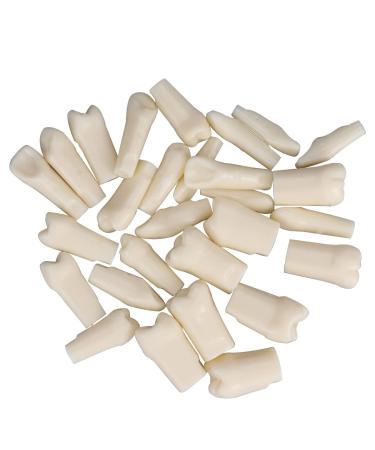 Dental Simulator Manikin Phantom Head for Exercises Training Study Typodont Models with Removable Teeth (28 Teeth)