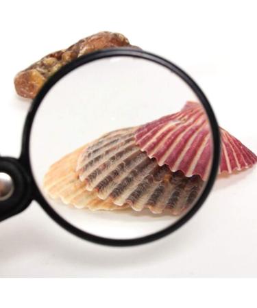 Loupe Lens Best Portable for Reading Inspection Jewelry Coins Hobby Travel Auspicious Clouds - Buy Online on GoSupps.com