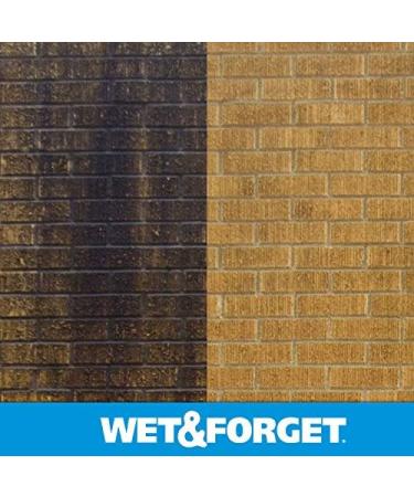 Buy Wet & Forget Moss & Mold Remover - Multi-Surface Outdoor Cleaner Concentrate (64 oz 2 Pack) - Effective Algae Stain Solution | Fast International Shipping - Buy Online on GoSupps.com