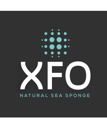 ideelz XFO Sea Sponge (Medium 5) - All Natural Sea Wool Sponge for Bathing and Exfoliating - USA Grown - Buy Online on GoSupps.com