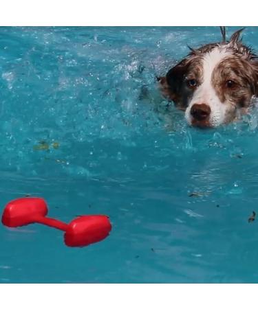 Company of Animals Training Dumbbell - Durable Toy for Medium Dogs & Puppies | Ideal for Swimming & Long Training Sessions - Buy Online on GoSupps.com