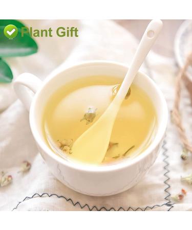 Buy Apple Blossom Flower Tea 50g - Dried Apple Flower Health Tea for Anti-Acne & Freckles - International Shipping Available - Buy Online on GoSupps.com