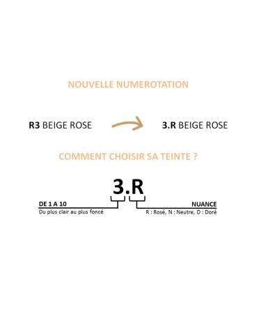 Poudre Accord Parfait L'Or al Paris - R2 Vanilla Ros 9g | International Shipping Available - Buy Online on GoSupps.com