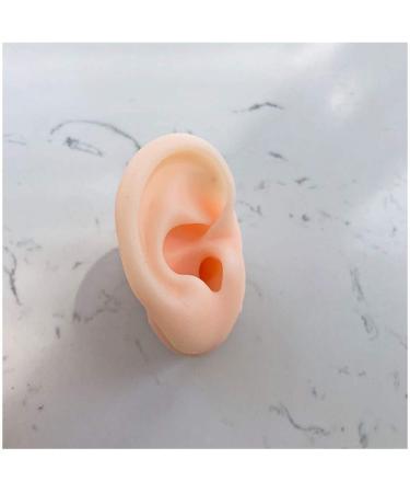 Ear Model - Soft Silicon Silicone Simulation Model of Acupuncture Ear Ear Picking Practice The Studs Earring Display Props - Buy Online on GoSupps.com