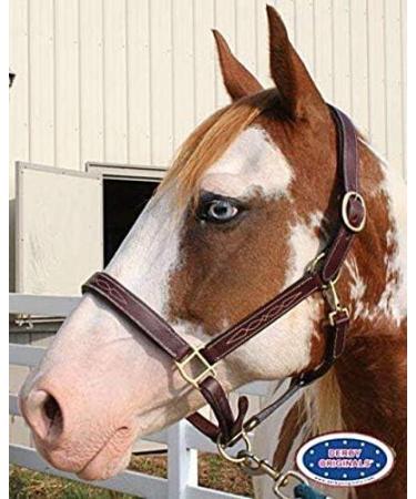 Derby Originals Liverpool Padded Leather Horse Halter - Cob/Arabian Size - Buy Online on GoSupps.com