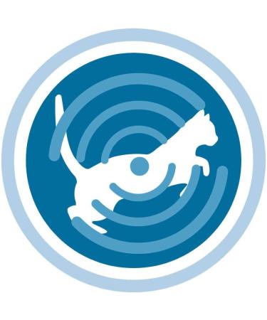 One Chicken and Wheat Dry Food for Sterilized Cat Pack of 1.5 kg - Buy Online on GoSupps.com