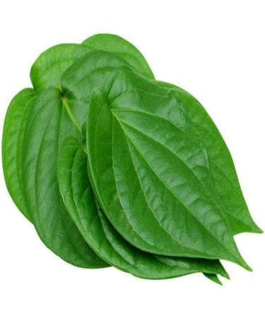 Fresh Betel Leaves | Beetle Leaves Approx.10Pieces | Pan Leaves | Leaf Betel | Fresh Leaf | Used for Pooja & Edible | Indian Origin | Approx 50G - Buy Online on GoSupps.com