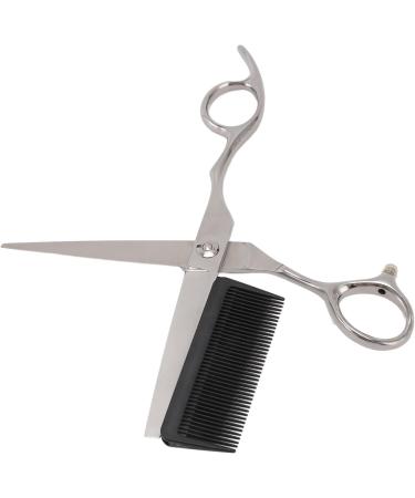 Hair Cutting Scissors Precise Cutting Salon Scissors with 2 Combs Stainless Steel for Home and Salon Hair Styling - Buy Online on GoSupps.com