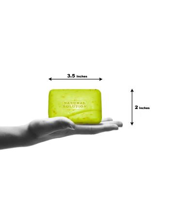 Natural Solution Himalayan Pink Salt Soap Bar with Turmeric & Neem - Moisturizing Organic Soap (1-Pack) - Buy Online on GoSupps.com