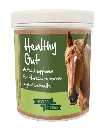 Horse Herbs Healthy Gut - Premium Activated Charcoal for Horses Digestive Relief (400g Tub)